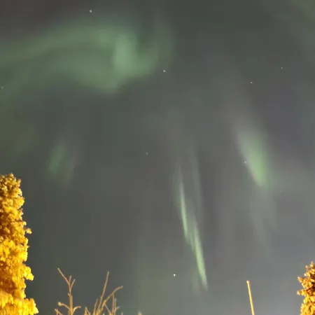 公寓 Reindeer Route *