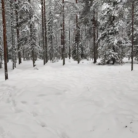 公寓 Reindeer Route 罗瓦涅米