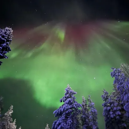 Reindeer Route * Rovaniemi